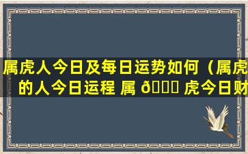 属虎人今日及每日运势如何（属虎的人今日运程 属 🐋 虎今日财运 事业）